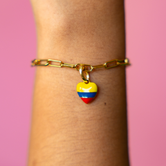 Chiva Charm - Colombian Charms Collection