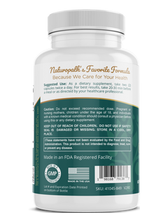 Ginkgo Biloba - Ancient Wisdom