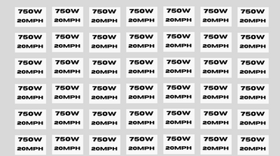 750w 20mph  1 sticker